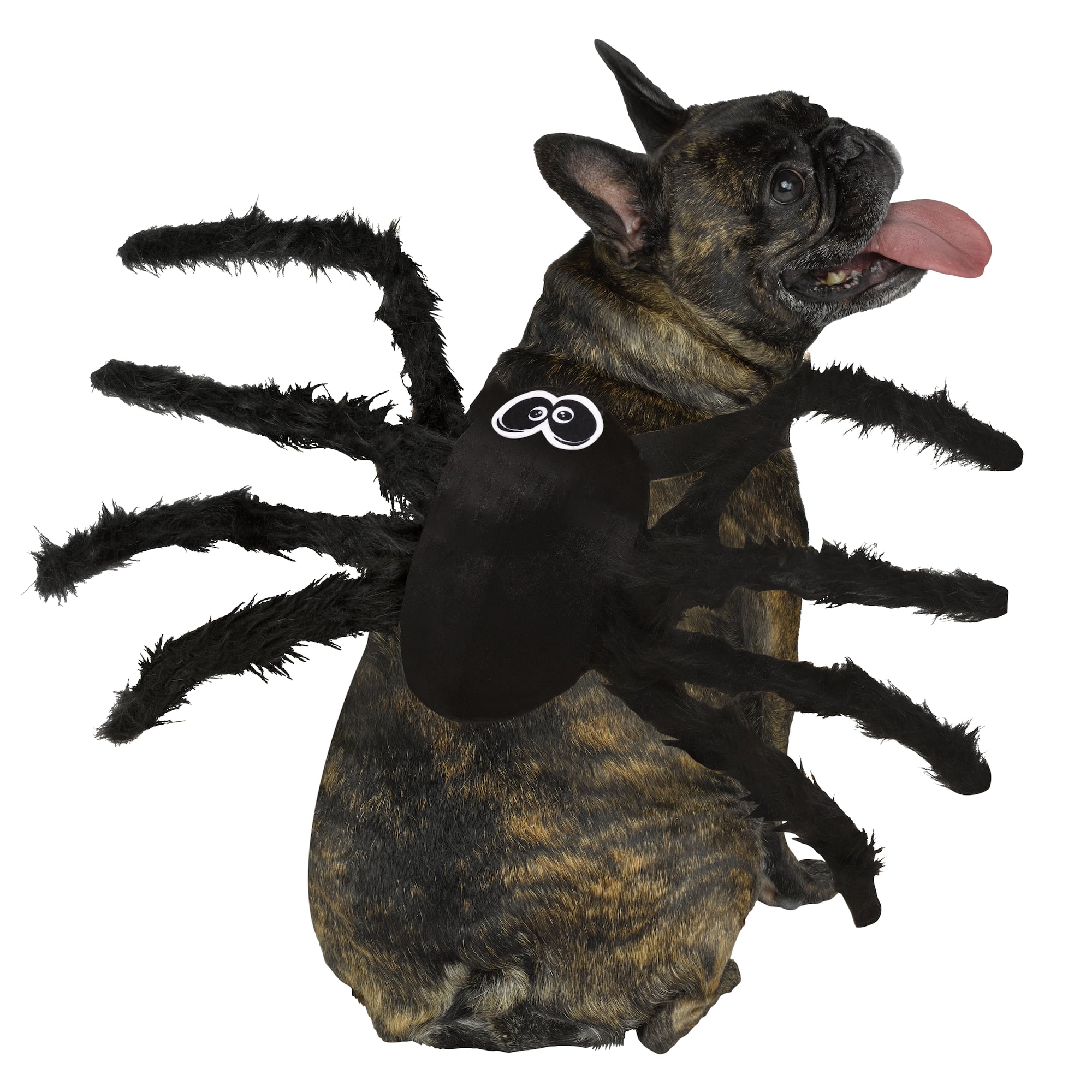 Spider Dog Costume by Ashland®